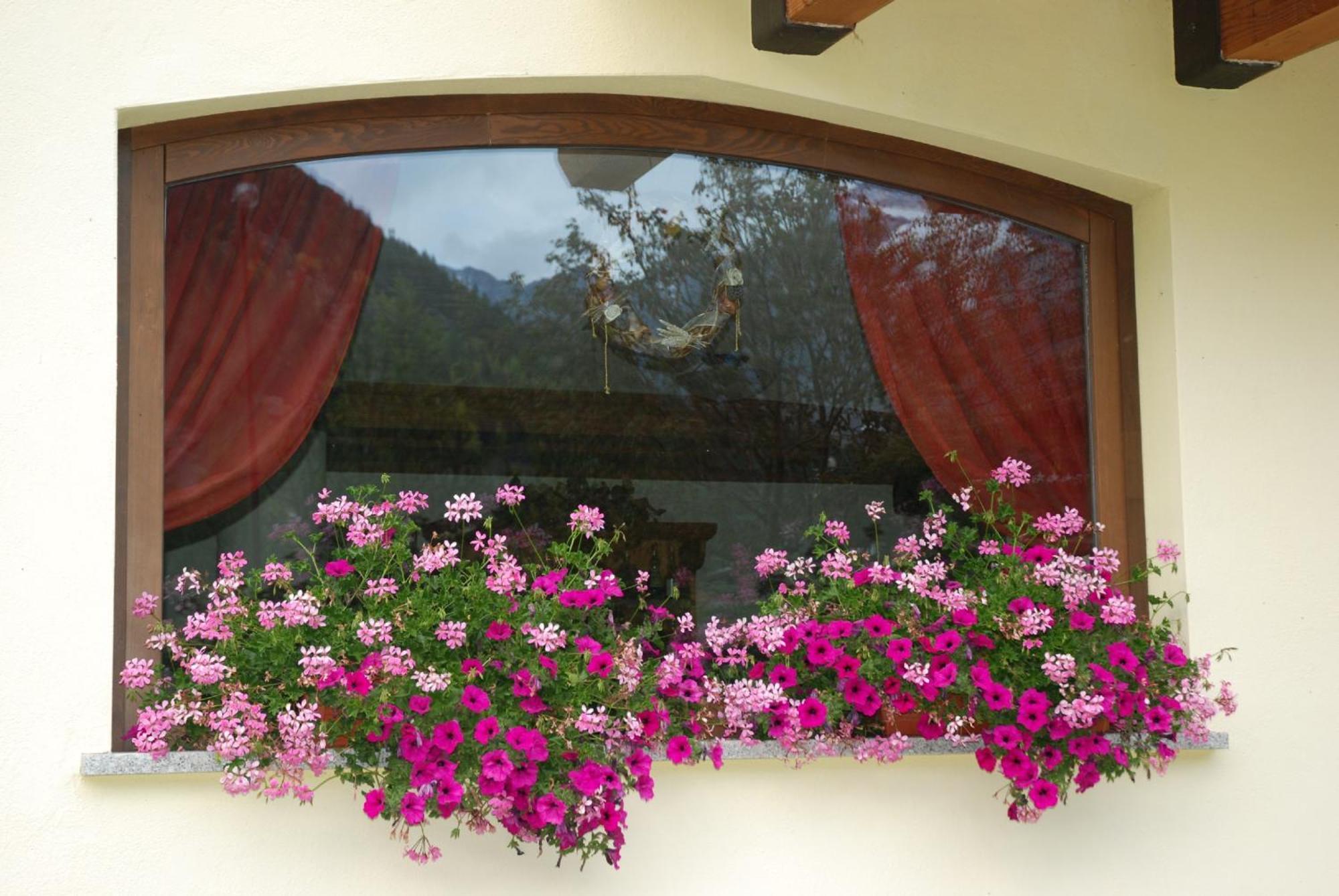 Residence Les Nigritelles Cogne Ngoại thất bức ảnh
